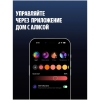 Вид 8